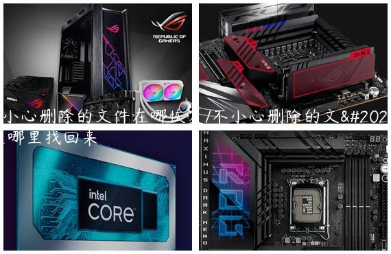 不小心删除的文件在哪恢复/不小心删除的文件在哪里找回来
