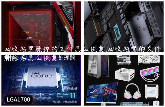 回收站里删掉的文件怎么恢复,回收站里的文件删除后怎么恢复