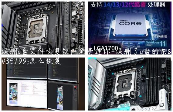 误删u盘文件恢复软件免费迷你-误删了u盘的东西怎么恢复