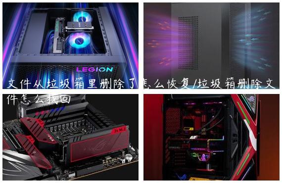 文件从垃圾箱里删除了怎么恢复/垃圾箱删除文件怎么找回