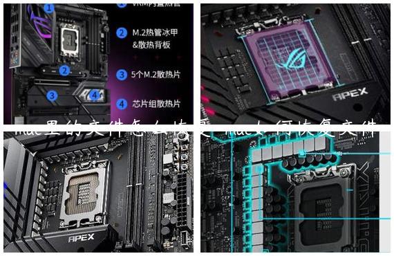 mac里的文件怎么恢复-mac如何恢复文件