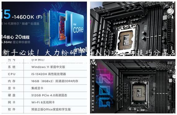 新手必读！大力粉碎手游入门攻略与技巧分享,大力分享装怎么合成