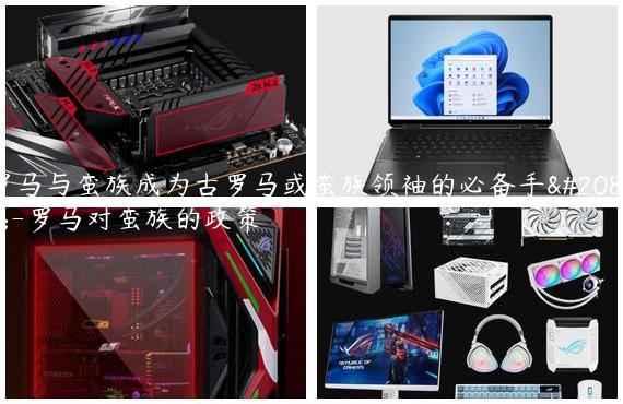 罗马与蛮族成为古罗马或蛮族领袖的必备手册-罗马对蛮族的政策