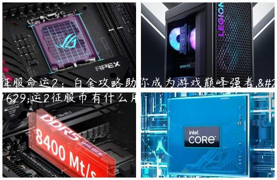 征服命运2：白金攻略助你成为游戏巅峰强者,命运2征服币有什么用