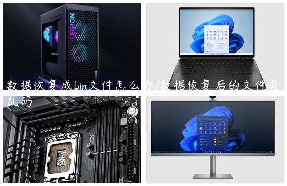 数据恢复成bin文件怎么办/数据恢复后的文件是乱码