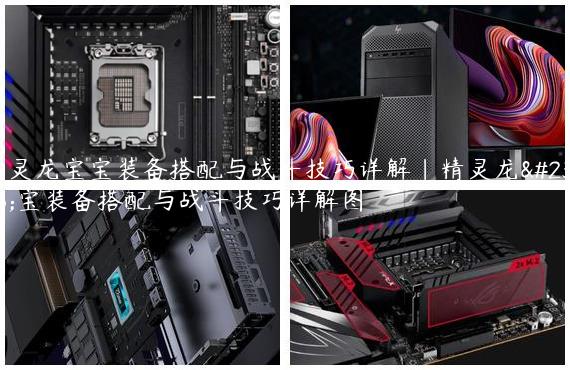 精灵龙宝宝装备搭配与战斗技巧详解|精灵龙宝宝装备搭配与战斗技巧详解图