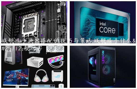 战舰猎手武器搭配的技巧与策略,战舰猎手什么战舰厉害