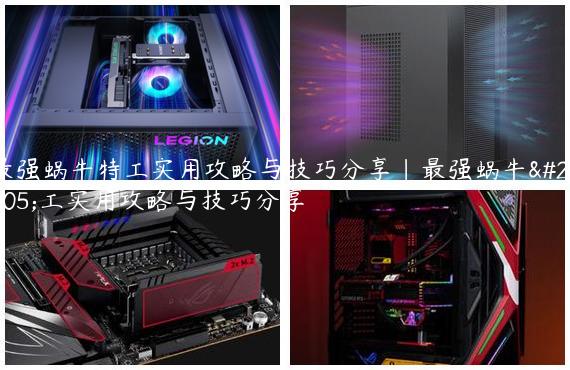 最强蜗牛特工实用攻略与技巧分享|最强蜗牛特工实用攻略与技巧分享