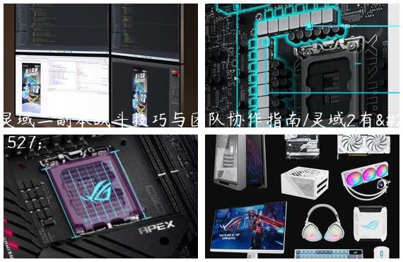 灵域二副本战斗技巧与团队协作指南/灵域2有吗