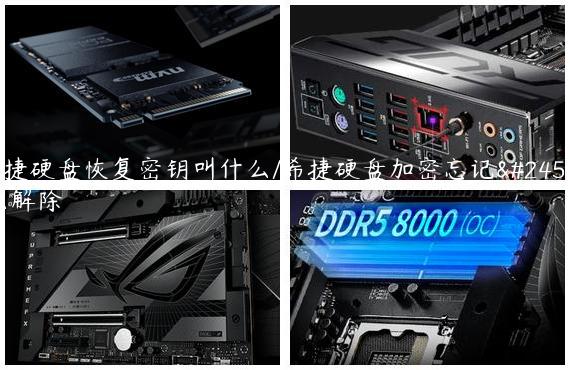 希捷硬盘恢复密钥叫什么/希捷硬盘加密忘记怎么解除