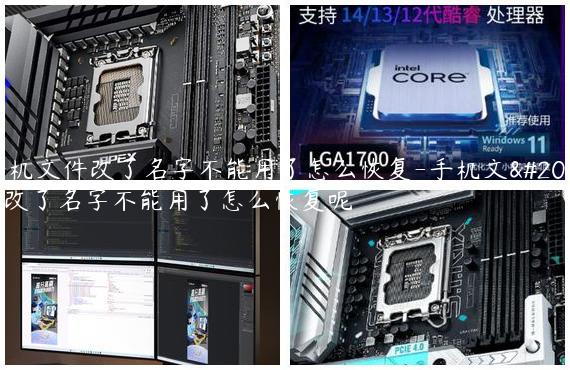 手机文件改了名字不能用了怎么恢复-手机文件改了名字不能用了怎么恢复呢