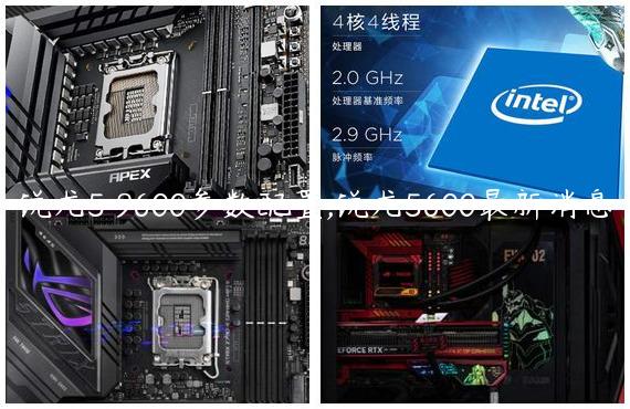 锐龙5 9600参数配置,锐龙5600最新消息