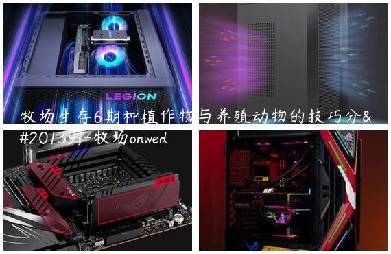 牧场生存6期种植作物与养殖动物的技巧分享-牧场onwed