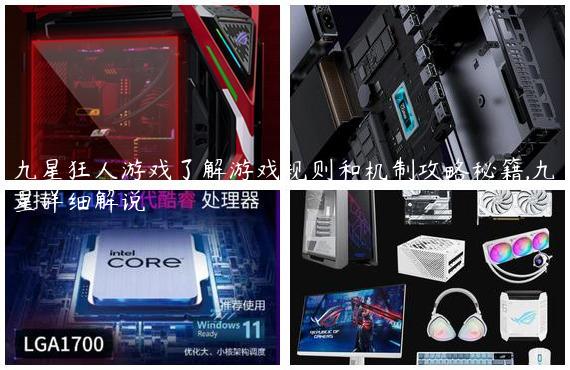 九星狂人游戏了解游戏规则和机制攻略秘籍,九星详细解说
