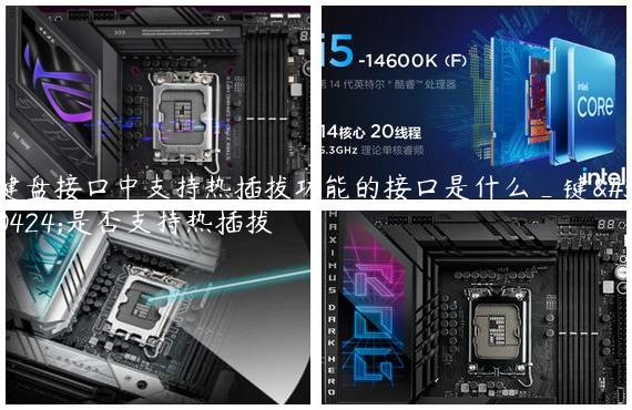 键盘接口中支持热插拔功能的接口是什么_键盘是否支持热插拔