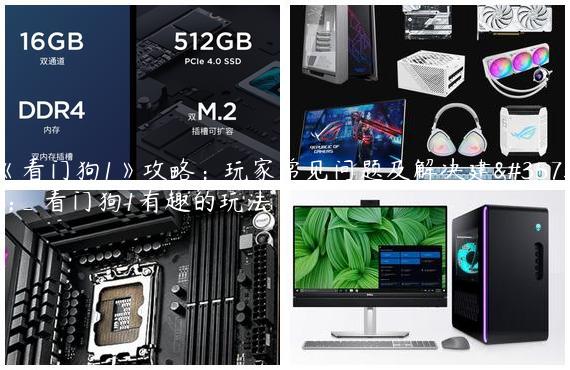 《看门狗1》攻略：玩家常见问题及解决建议_看门狗1有趣的玩法