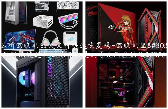 怎么将回收站的大文件快速恢复吗-回收站里的文件可以通过什么操作恢复到原先所在的位置