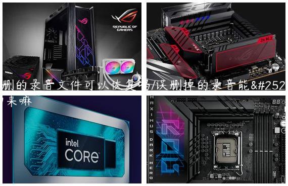 误删的录音文件可以恢复吗/误删掉的录音能找回来嘛