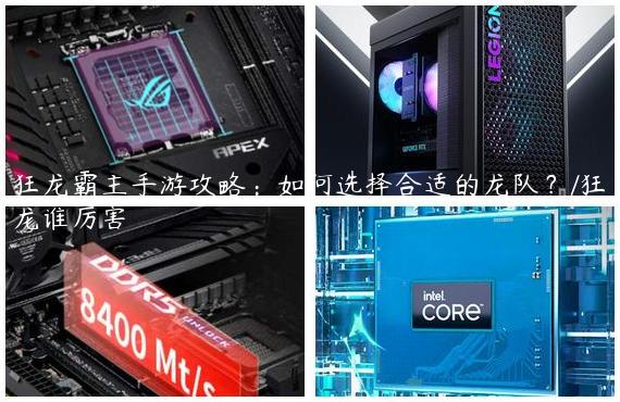 狂龙霸主手游攻略：如何选择合适的龙队？/狂龙谁厉害