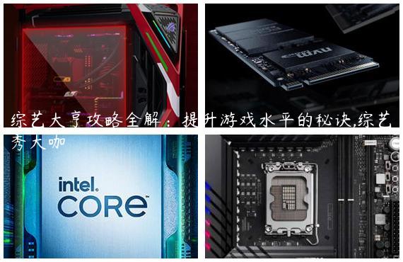 综艺大亨攻略全解：提升游戏水平的秘诀,综艺秀大咖