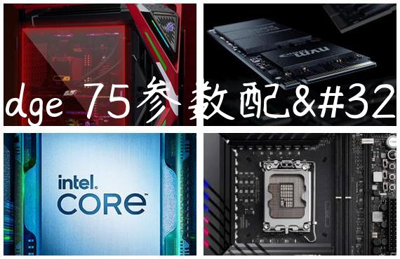Bridge 75参数配置