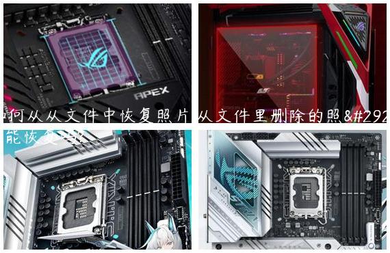 如何从从文件中恢复照片,从文件里删除的照片能恢复吗?