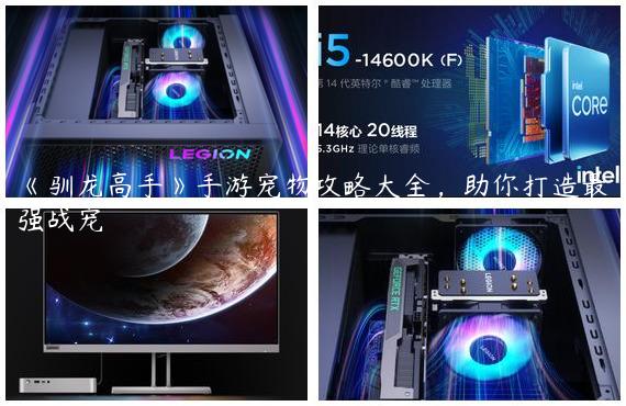 《驯龙高手》手游宠物攻略大全，助你打造最强战宠