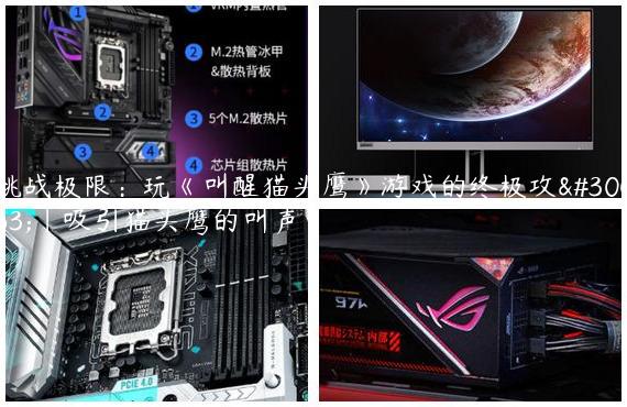 挑战极限：玩《叫醒猫头鹰》游戏的终极攻略|吸引猫头鹰的叫声