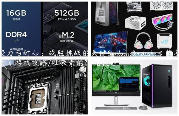 毅力与耐心：战胜挑战的关键——《雄激素》游戏攻略/雄激素的作用机理