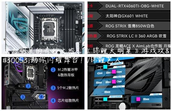 成为明星的奇妙之旅，《锦鲤大明星》游戏攻略助你闪耀舞台！/锦鲤艺人