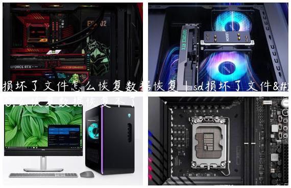 sd损坏了文件怎么恢复数据恢复|sd损坏了文件怎么恢复数据恢复不了