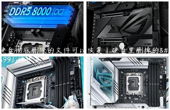 硬盘彻底删除的文件可以恢复|硬盘里删掉的文件恢复