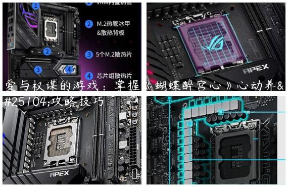 爱与权谋的游戏：掌握《蝴蝶醉宫心》心动养成攻略技巧