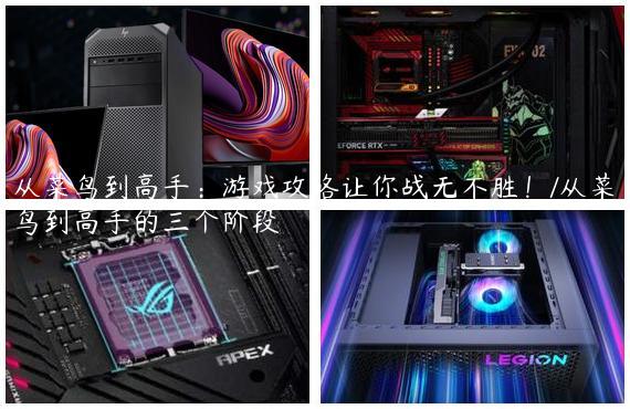 从菜鸟到高手：游戏攻略让你战无不胜！/从菜鸟到高手的三个阶段