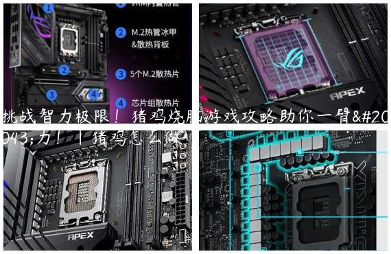 挑战智力极限！猪鸡烧脑游戏攻略助你一臂之力！|猪鸡怎么做