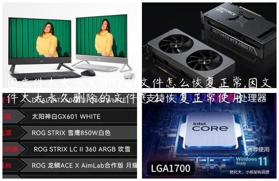 因文件太大永久删除的文件怎么恢复正常,因文件太大永久删除的文件怎么恢复正常使用