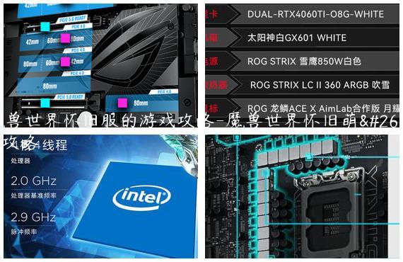 魔兽世界怀旧服的游戏攻略-魔兽世界怀旧萌新攻略