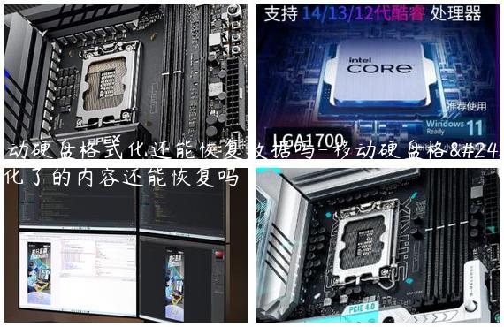 移动硬盘格式化还能恢复数据吗-移动硬盘格式化了的内容还能恢复吗