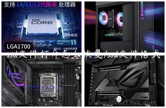ssd文件打开怎么恢复/ssd文件格式