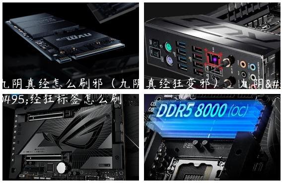 九阴真经怎么刷邪（九阴真经狂变邪）_九阴真经狂标签怎么刷
