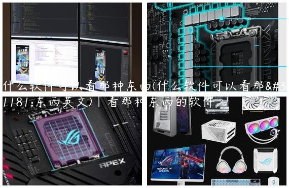 什么软件可以看那种东西(什么软件可以看那种东西英文)|看那种东西的软件