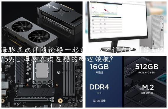 海豚喜欢伴随轮船一起前行这种行为更可能是_海豚喜欢在船的哪边领航?