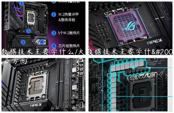 大数据技术主要学什么/大数据技术主要学什么就业方向