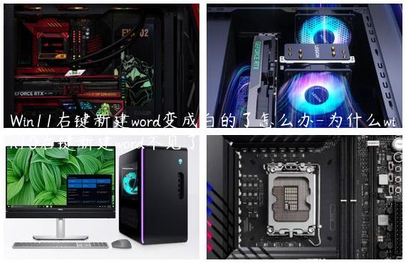 Win11右键新建word变成白的了怎么办-为什么win10右键新建word不见了