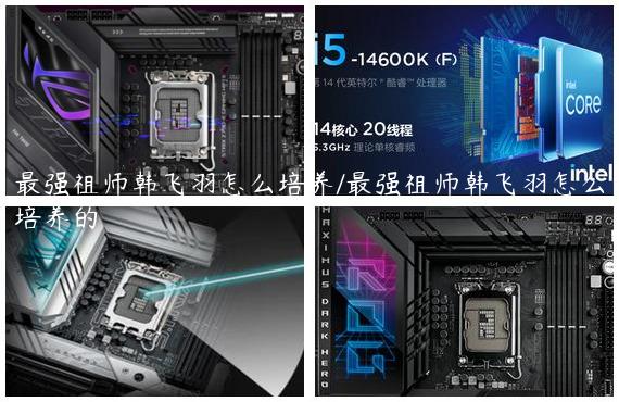 最强祖师韩飞羽怎么培养/最强祖师韩飞羽怎么培养的